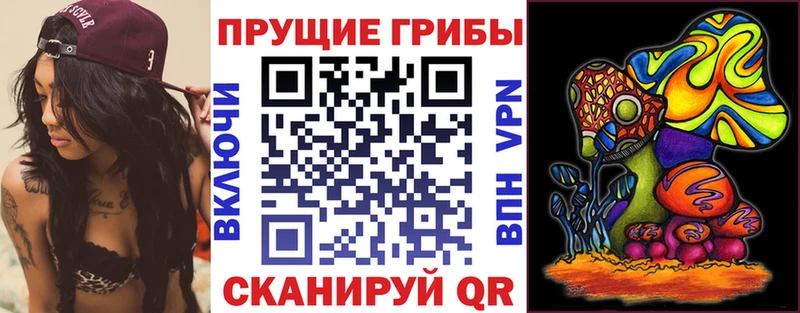 как найти закладки  Кирсанов  omg как зайти  Галлюциногенные грибы Magic Shrooms 